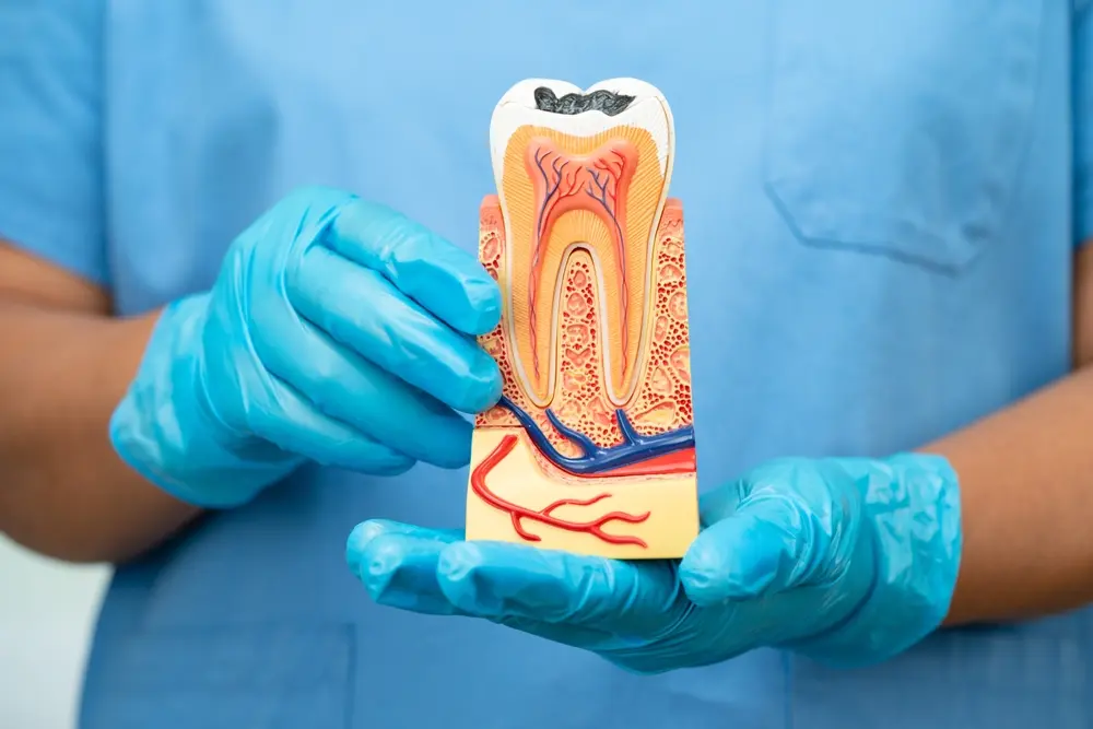 What to Do If Your Child Knocks Out a Tooth